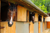 free Nenthall stable construction quotes